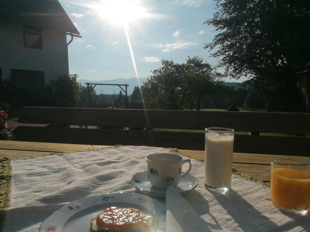 Apartament Riesenbauer Zeutschach Zewnętrze zdjęcie